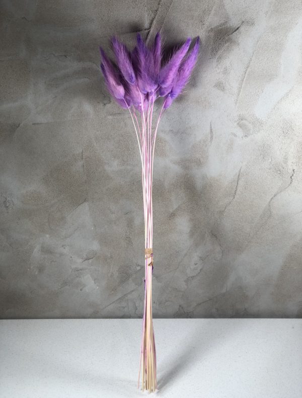 purplebunnytails